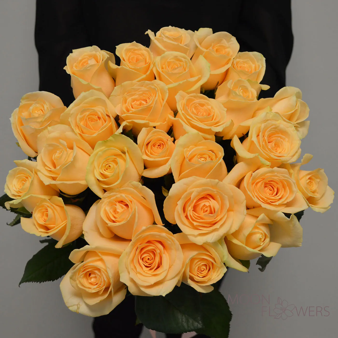 25 trandafiri crem 60-70 cm