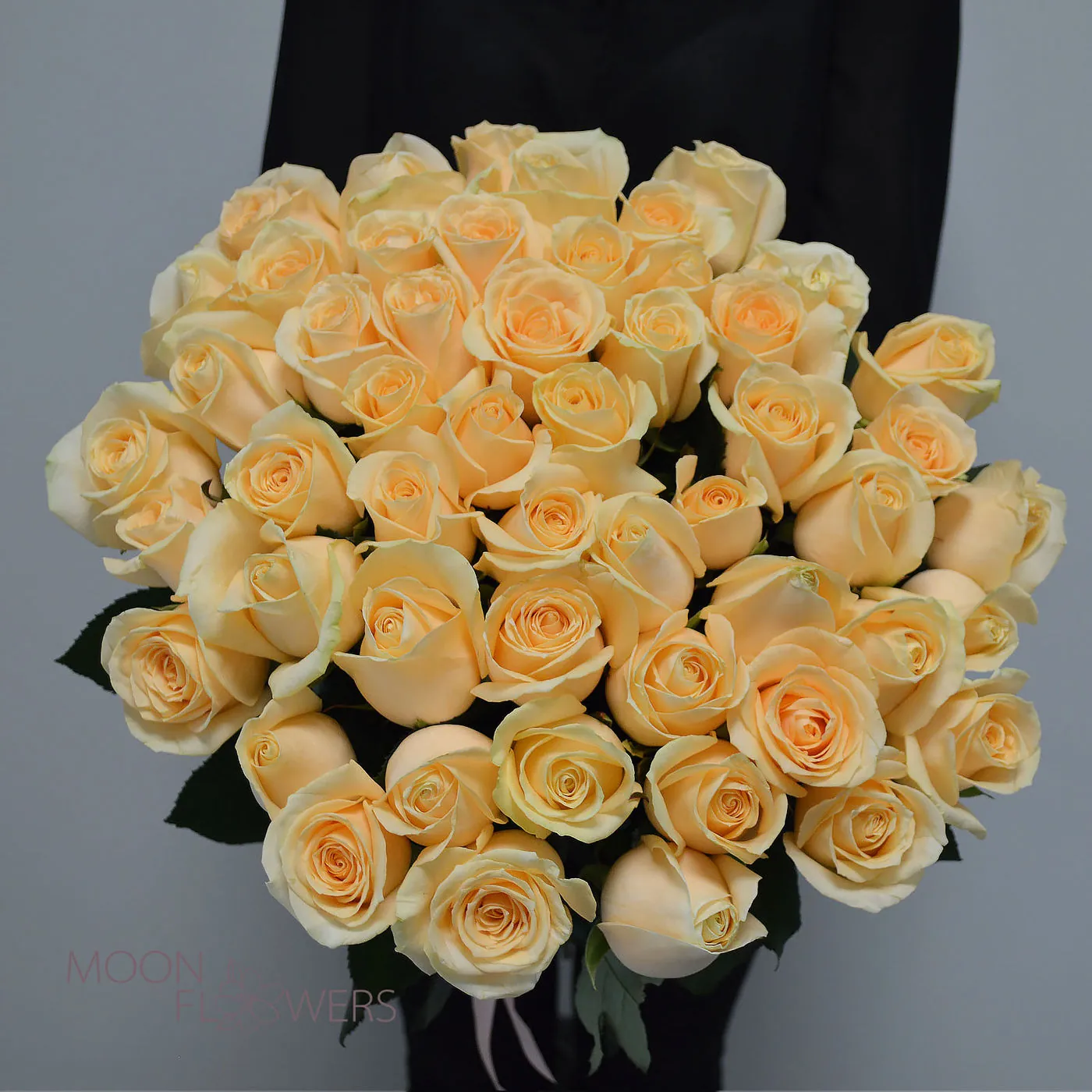 51 trandafiri crem 50-60 cm