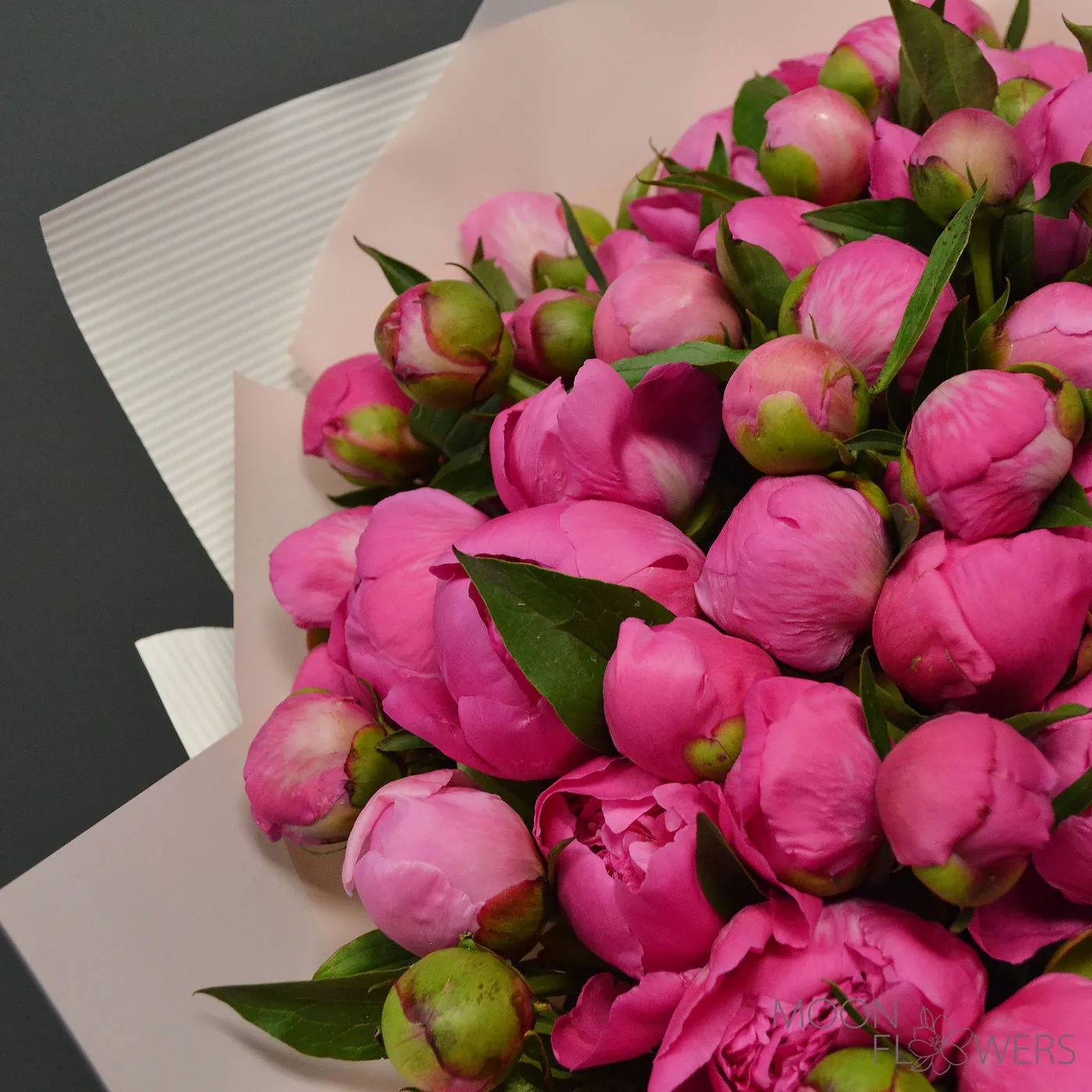 Buchet din 101 bujori roz