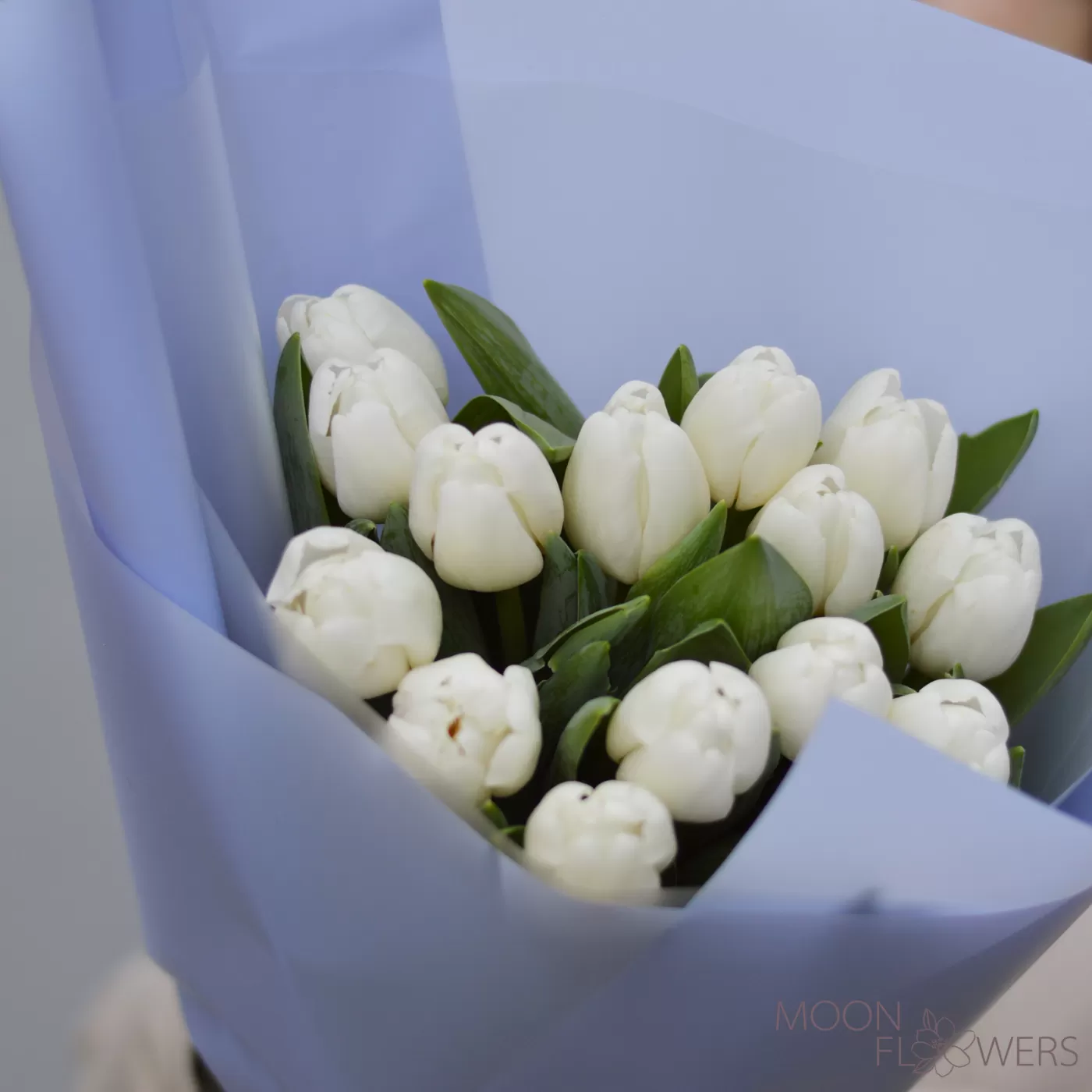 Bouquet of 15 white Dutch tulips in blue paper