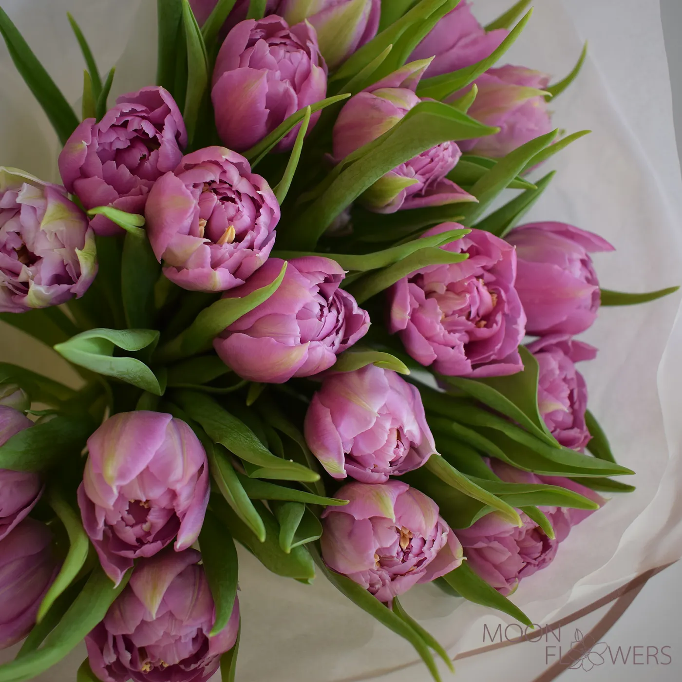 Bouquet of 21 light violet peony tulips
