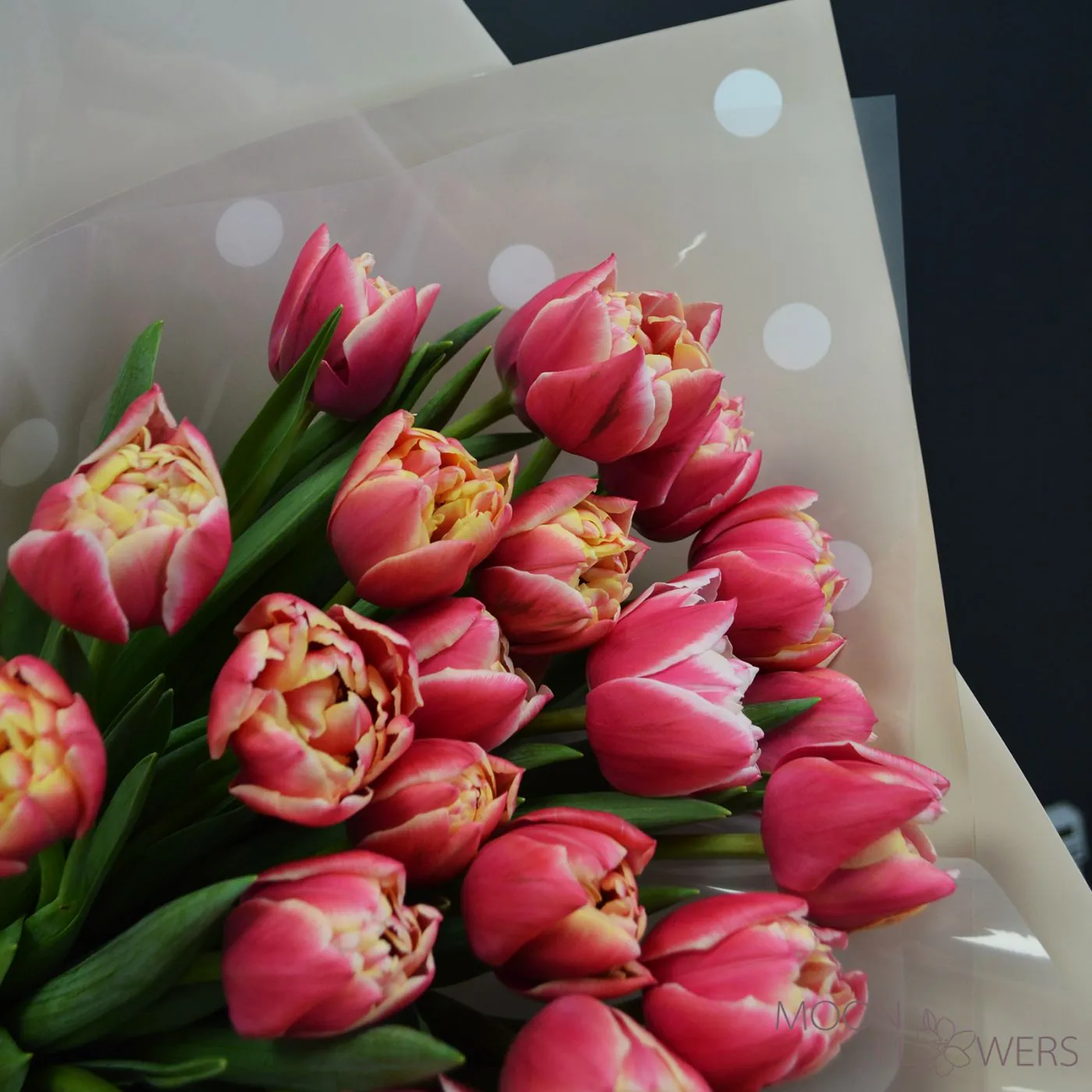 Buchet din 25 lalele roz de tip bujor