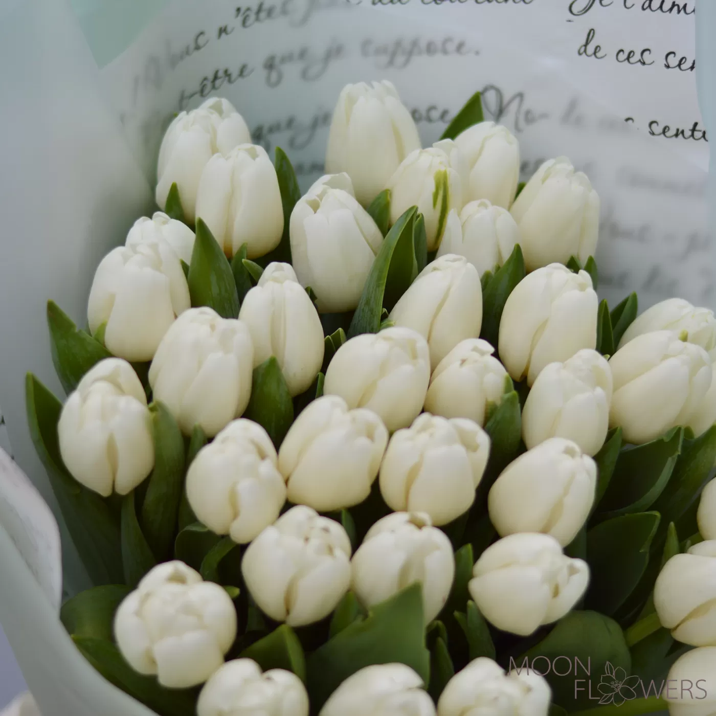 Bouquet of 35 white Dutch tulips