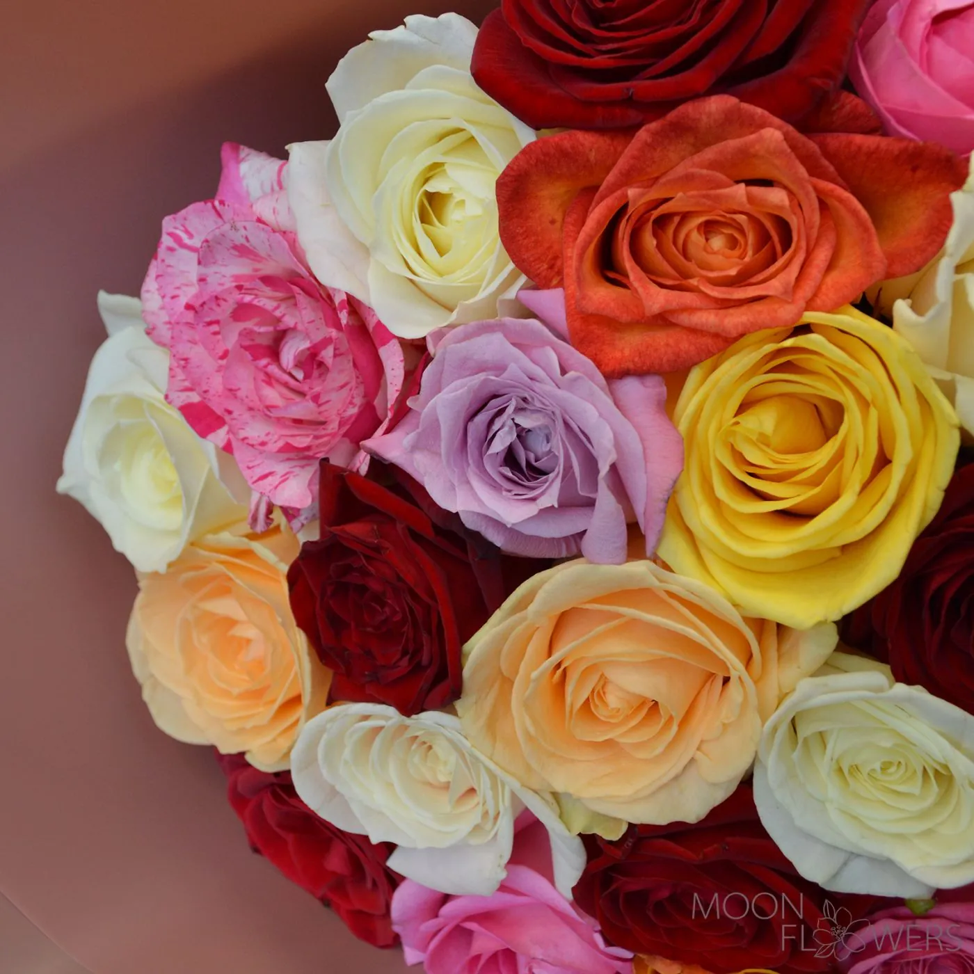 Bouquet of 25 multi-colored roses