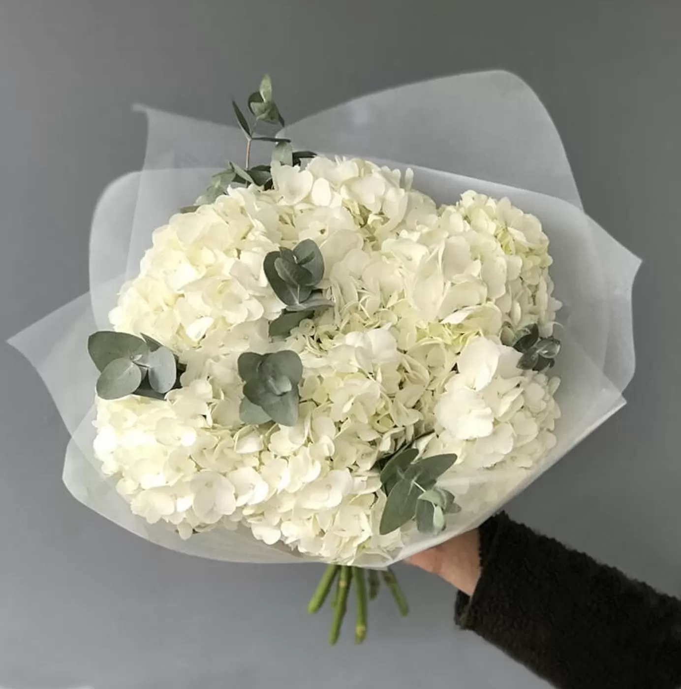 Buchet de 7 hortensii albe