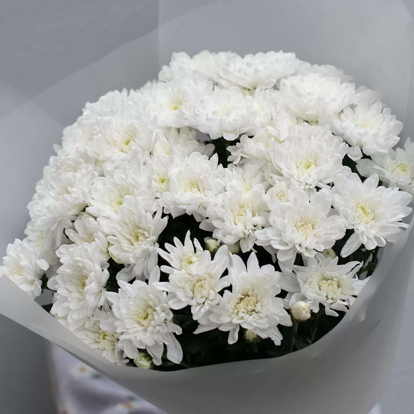 Buchet de crizantemă Olandeză albă