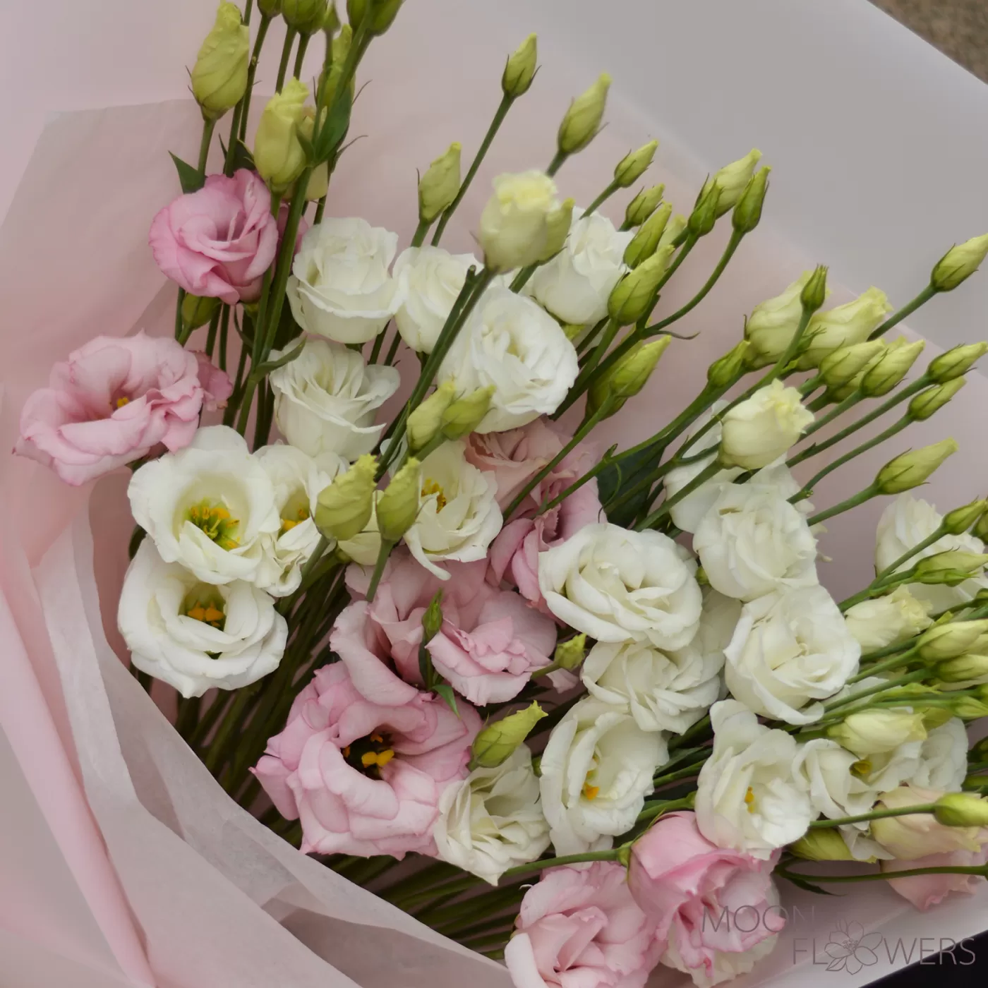 Bouquet of white and pink eustoma