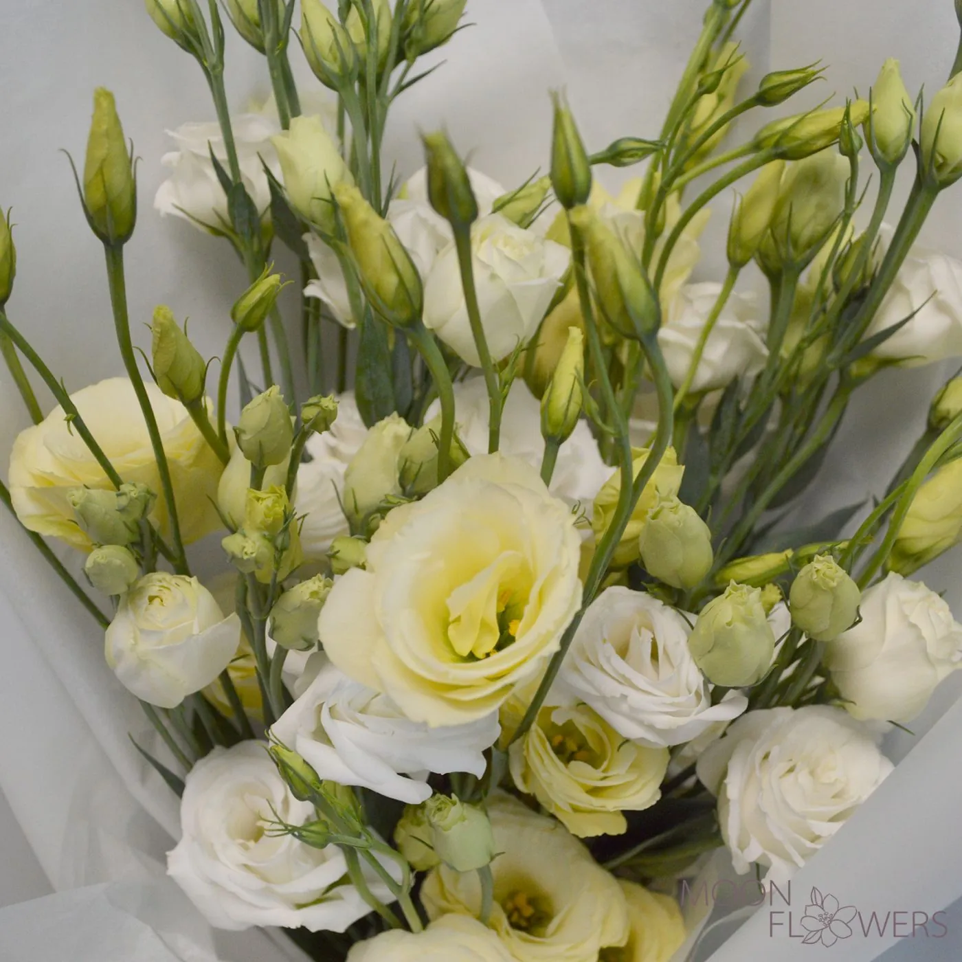 Buchet din eustoma albă și galbenă