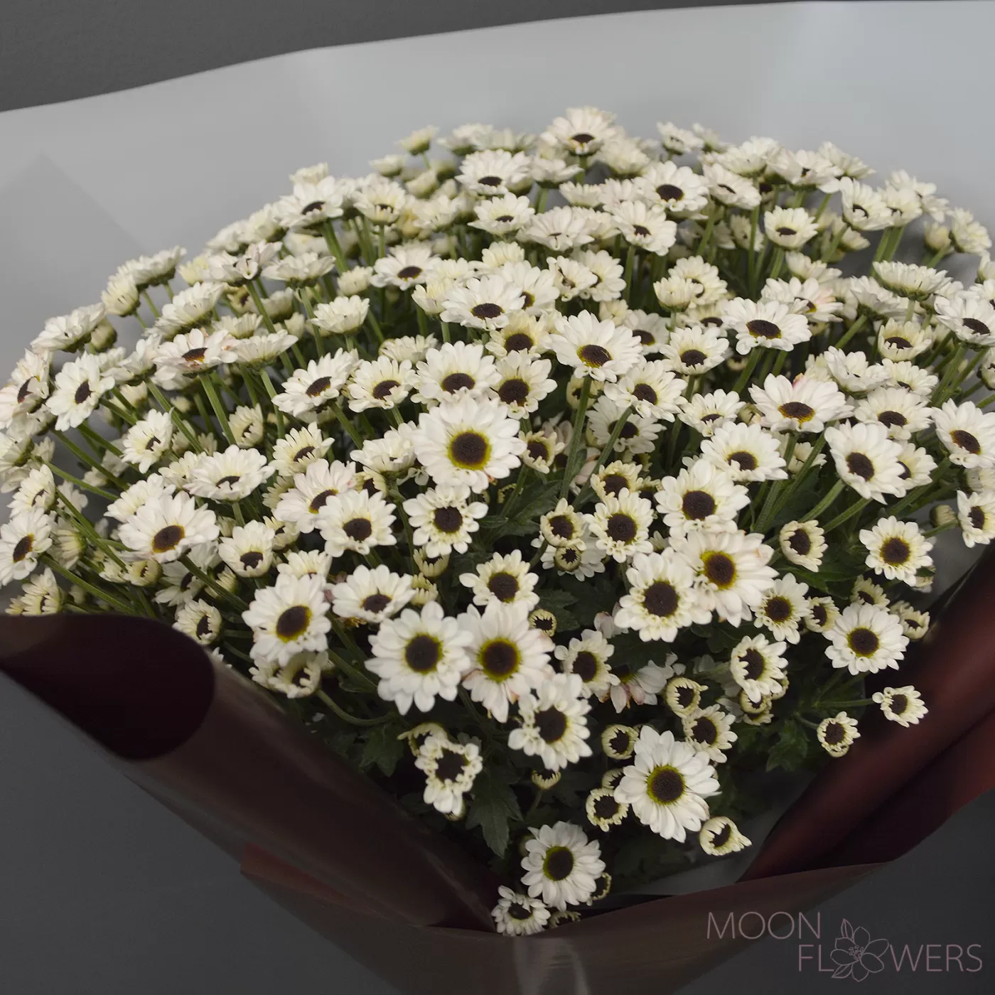 Bouquet of white chrysanthemum Santini