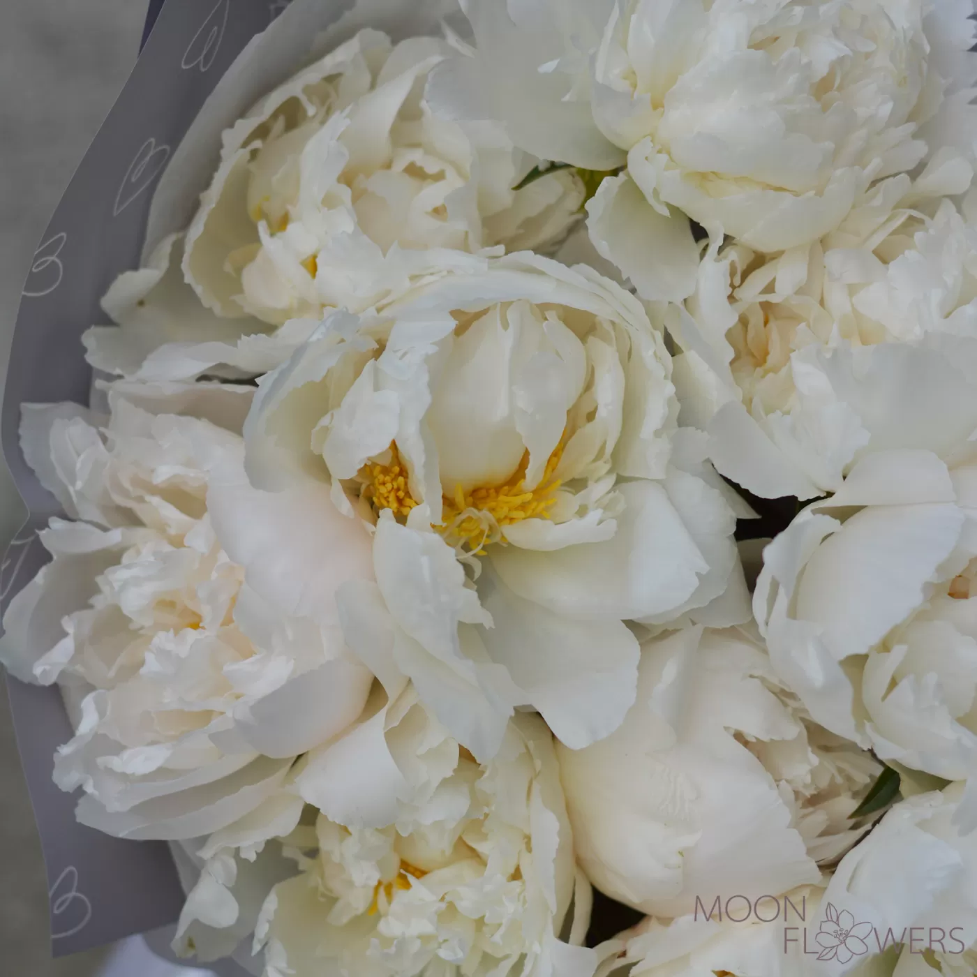 Bouquet of white Dutch peonies
