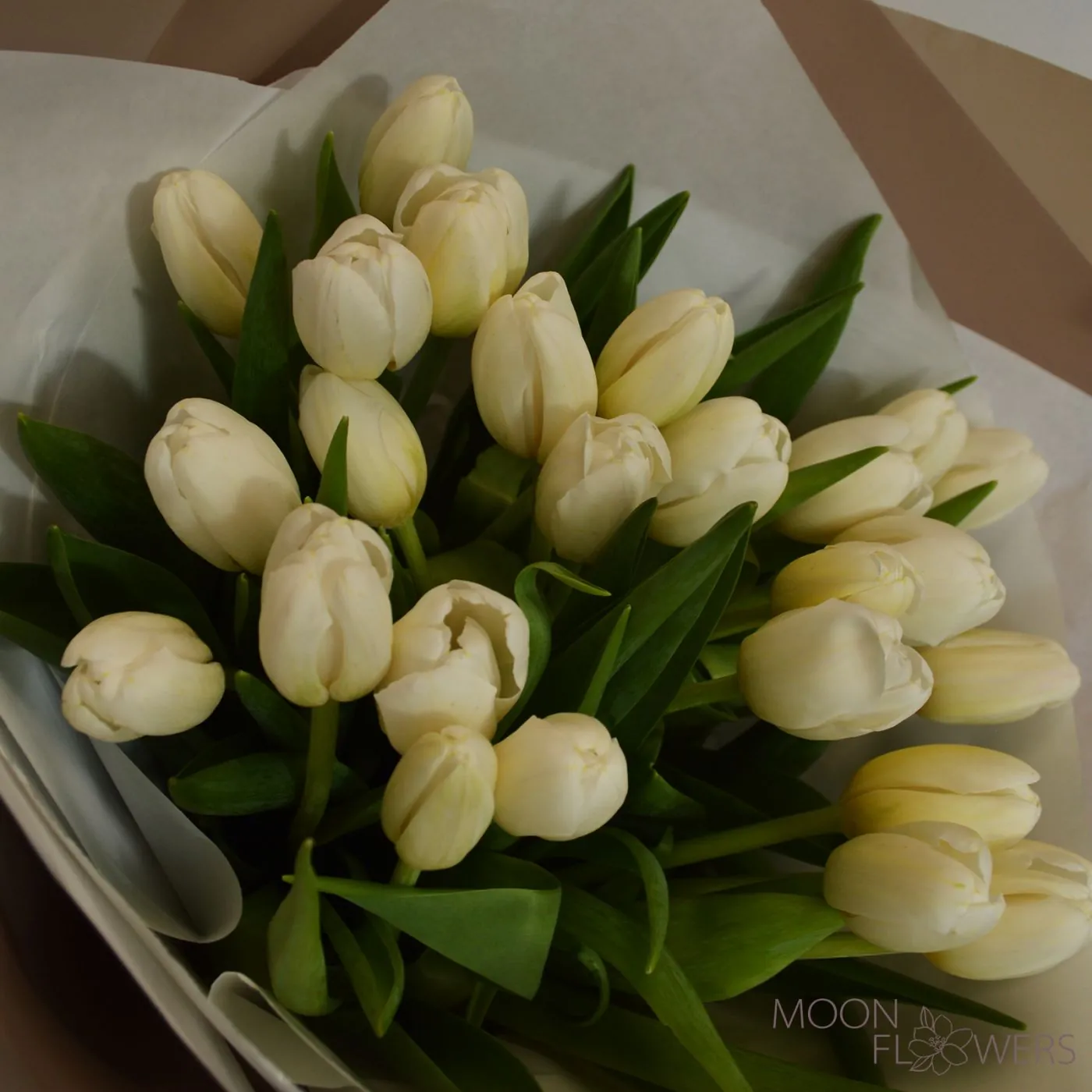 Bouquet of 25 white Dutch tulips