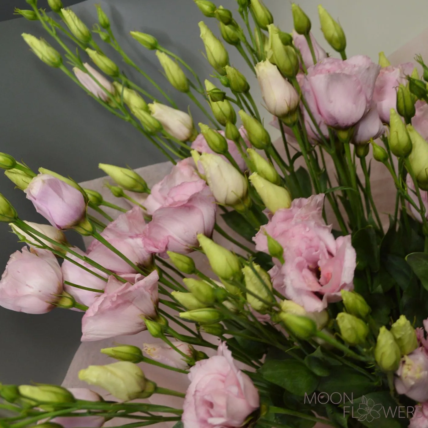Bouquet of pale pink eustoma