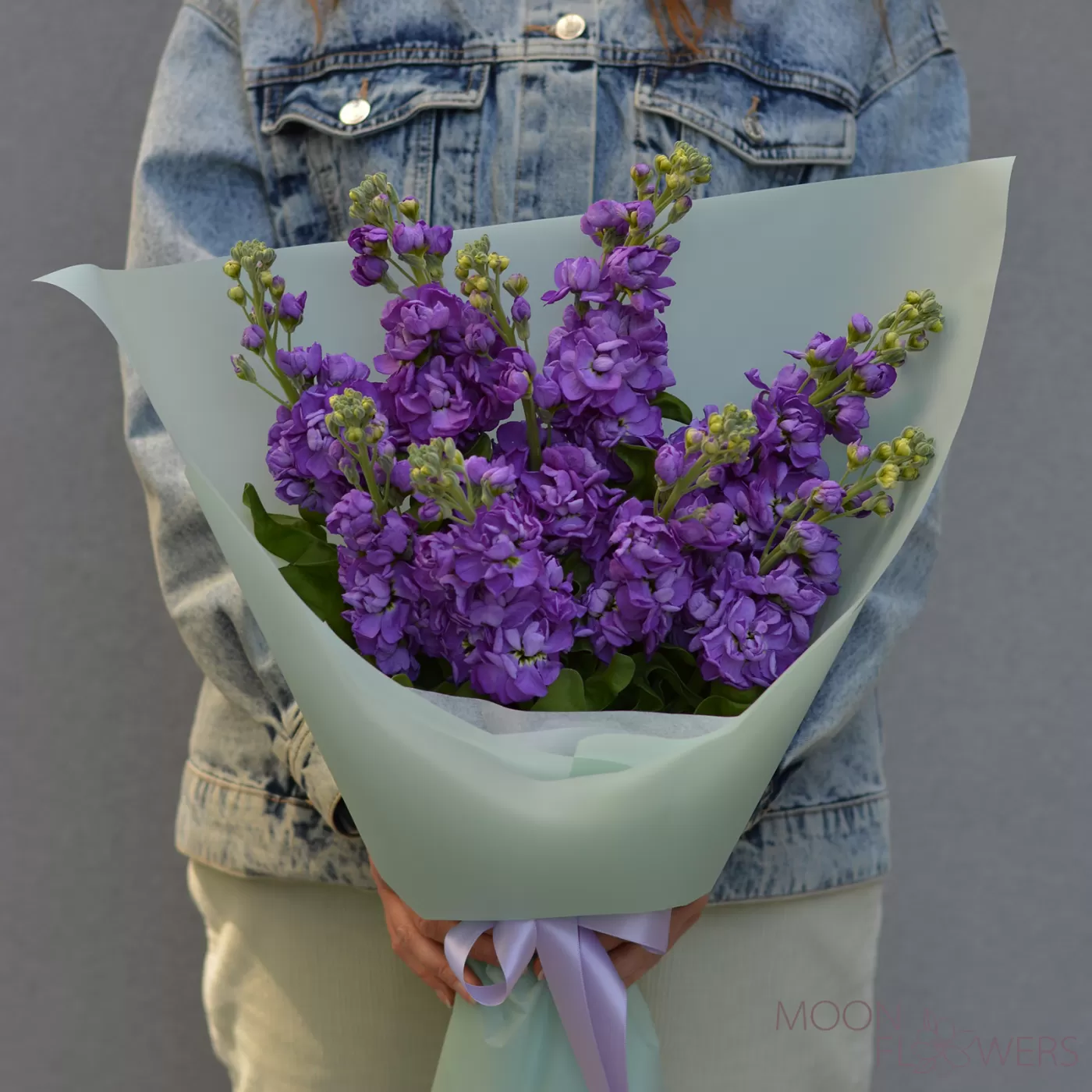 Bouquet of purple mattiola