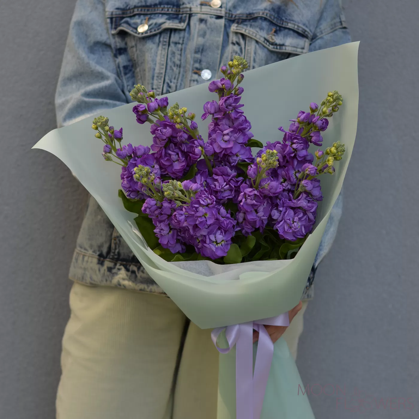 Bouquet of purple mattiola