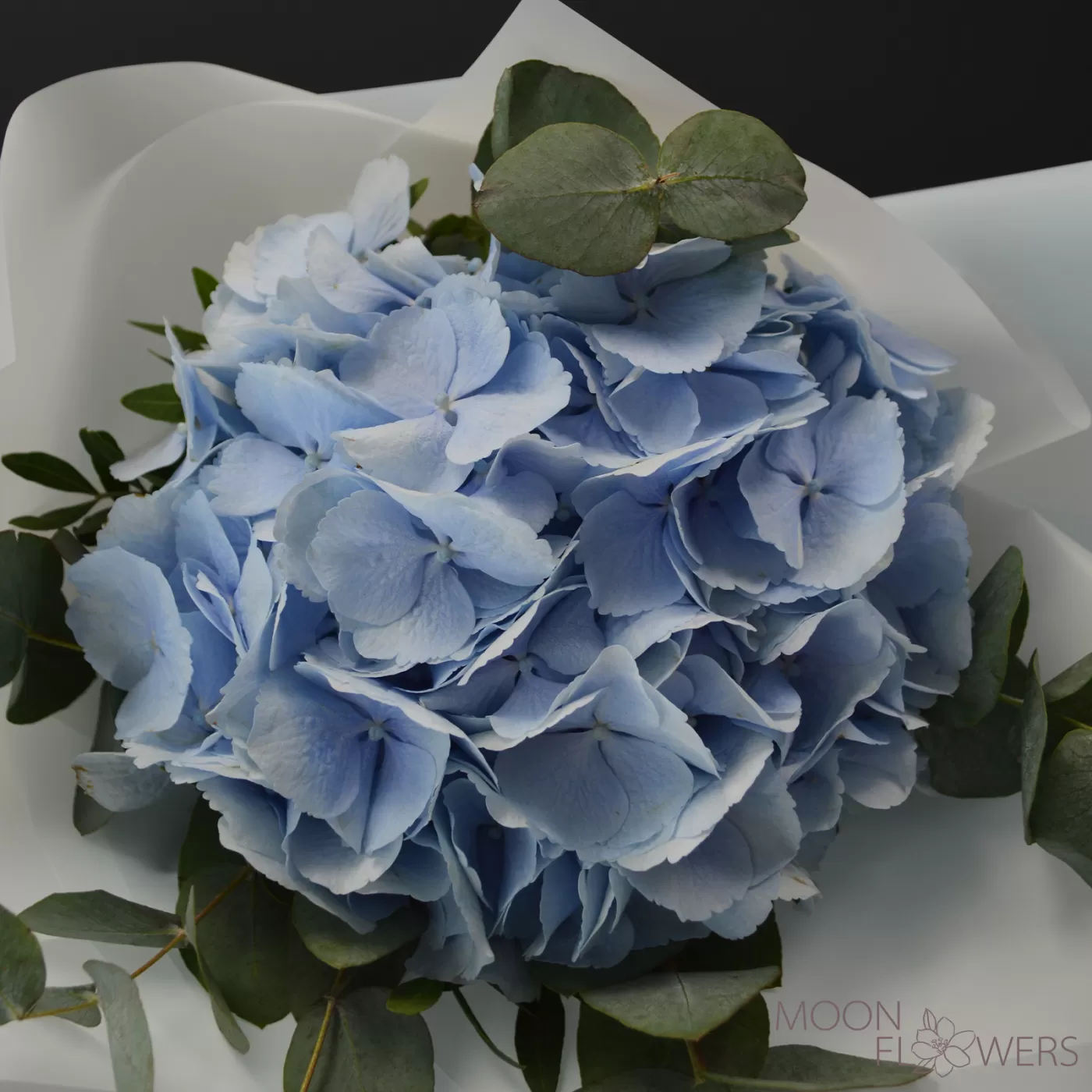 Bouquet of light blue hydrangea