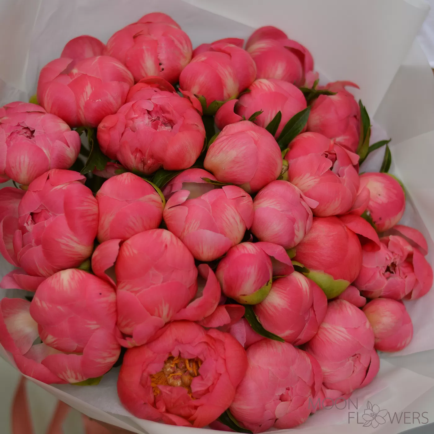 Букет из коралловых пионов (L)