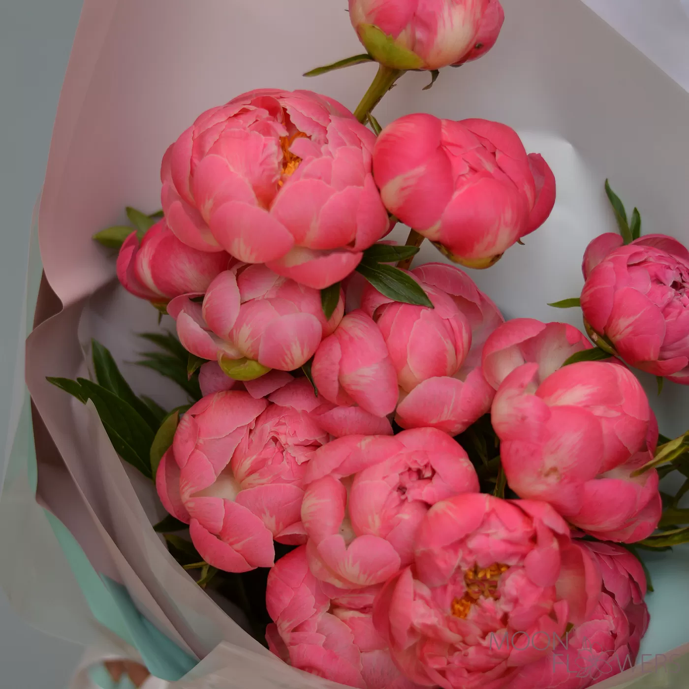 Buchet de bujori coral (M)