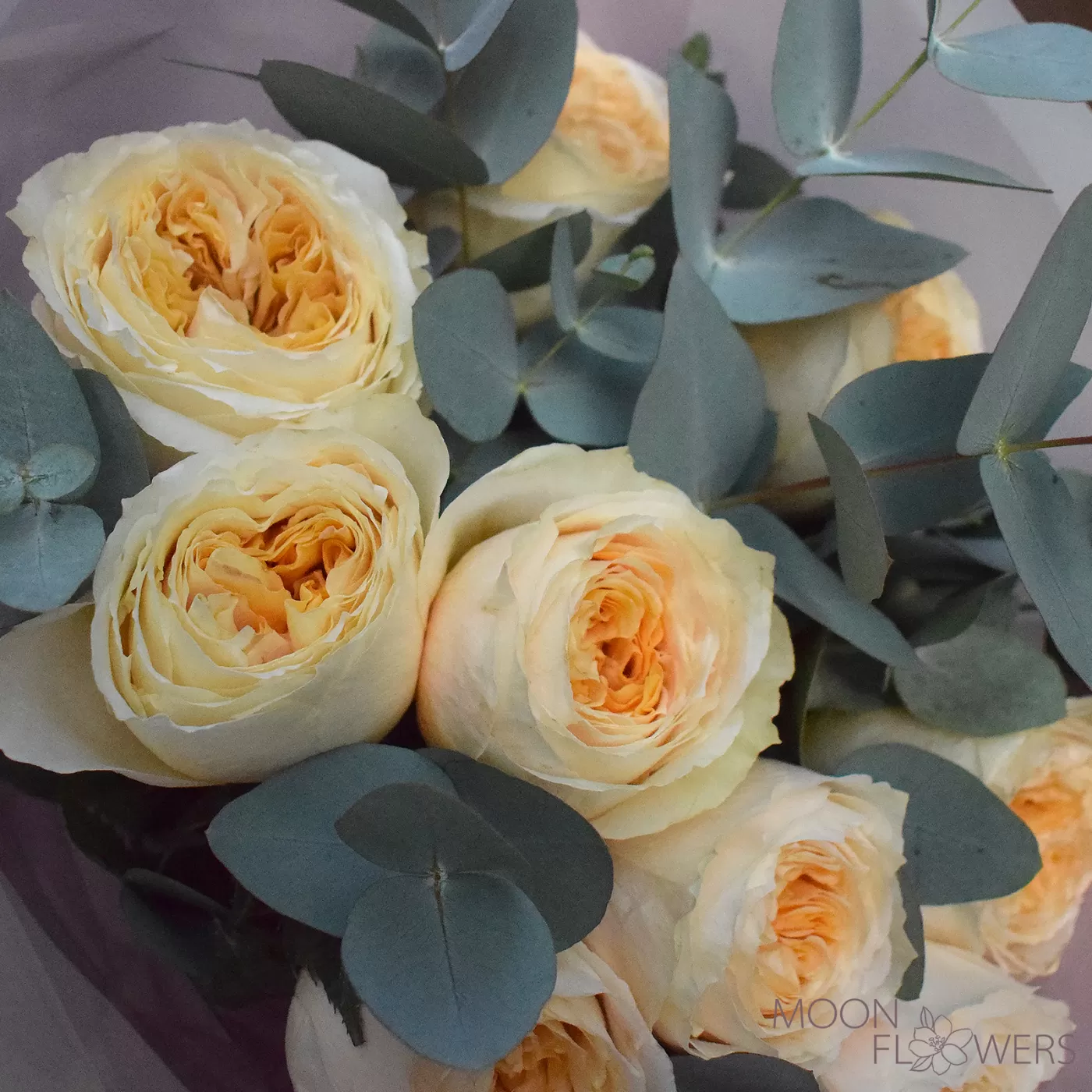 Bouquet of cream peony roses and eucalyptus