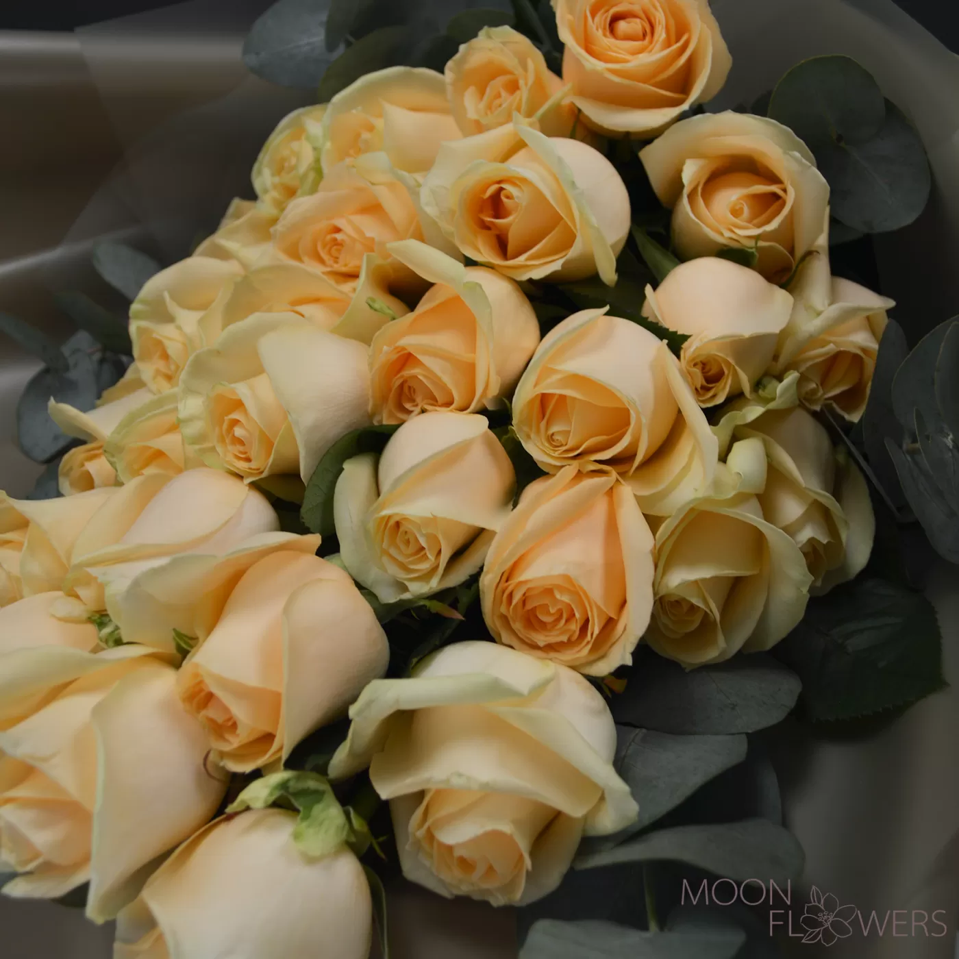 Bouquet of cream roses and eucalyptus