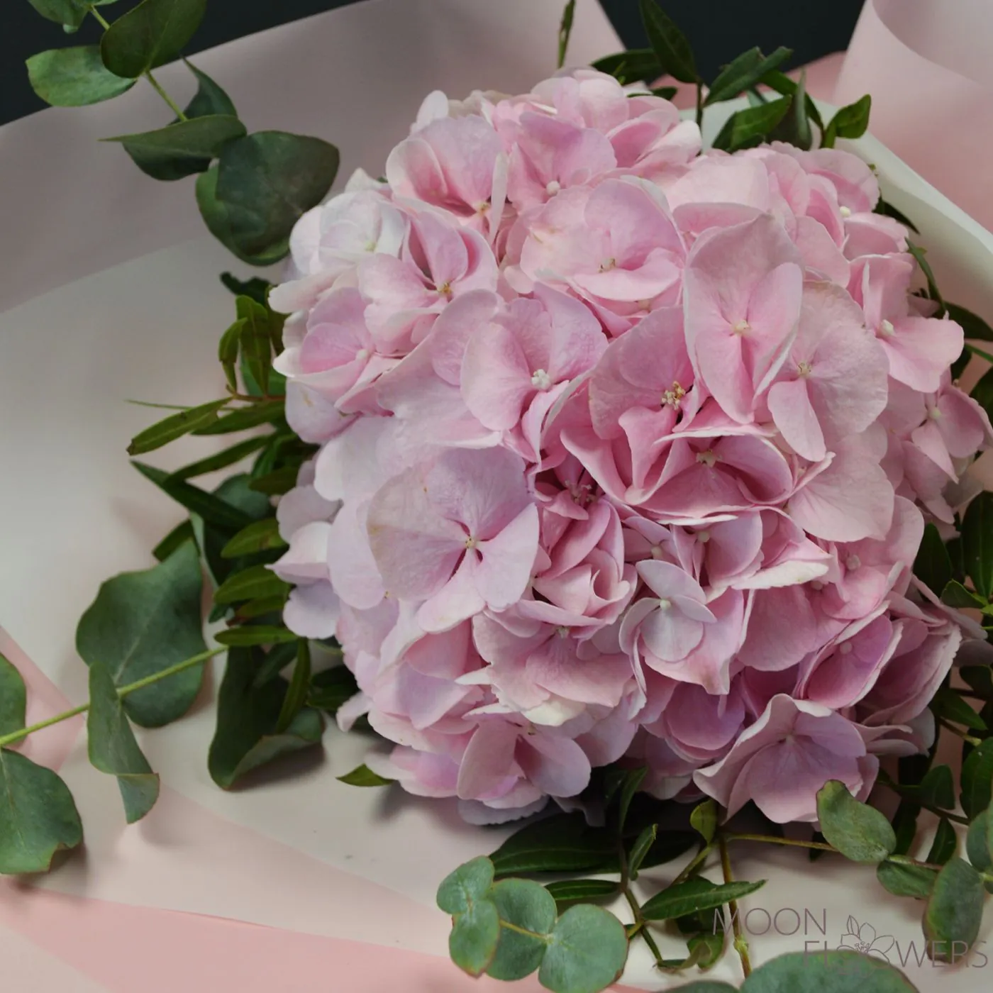 Bouquet of pink hydrangea
