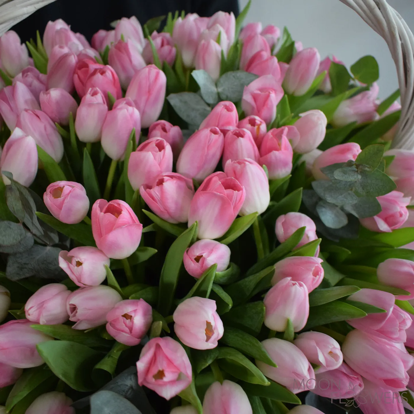 Basket of 201 Pink Tulips and Eucalyptus