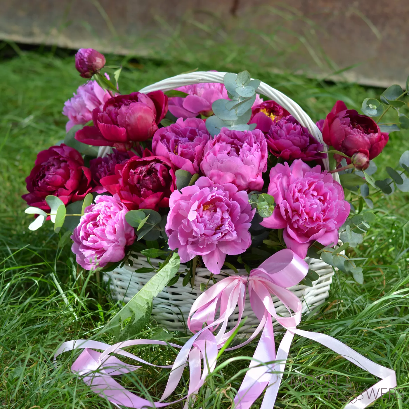 Basket with pink and burgundy peonies (M)