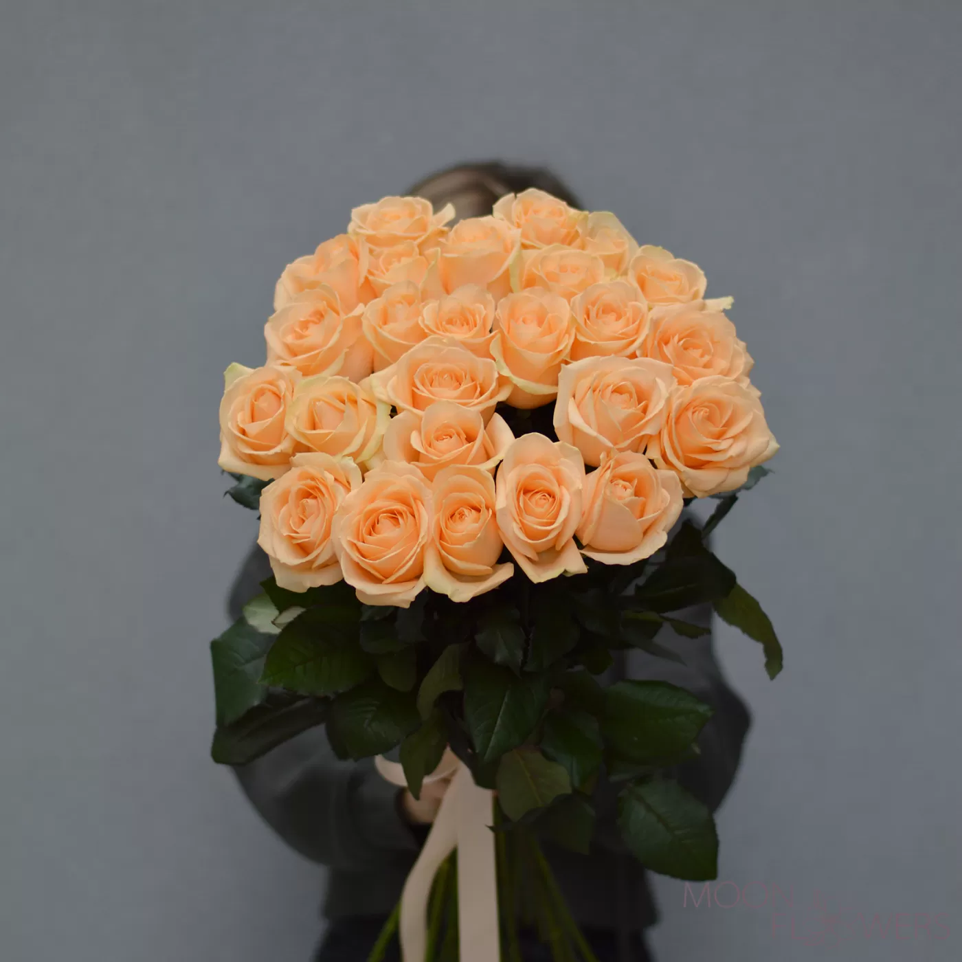 25 trandafiri crem 50-60 cm