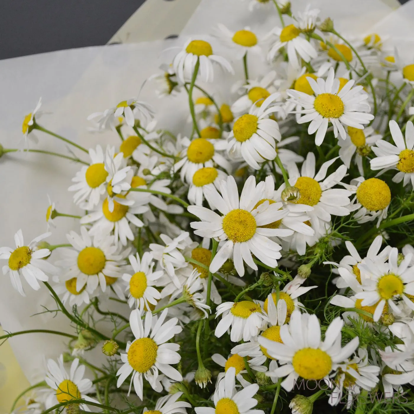 Buchet de vară