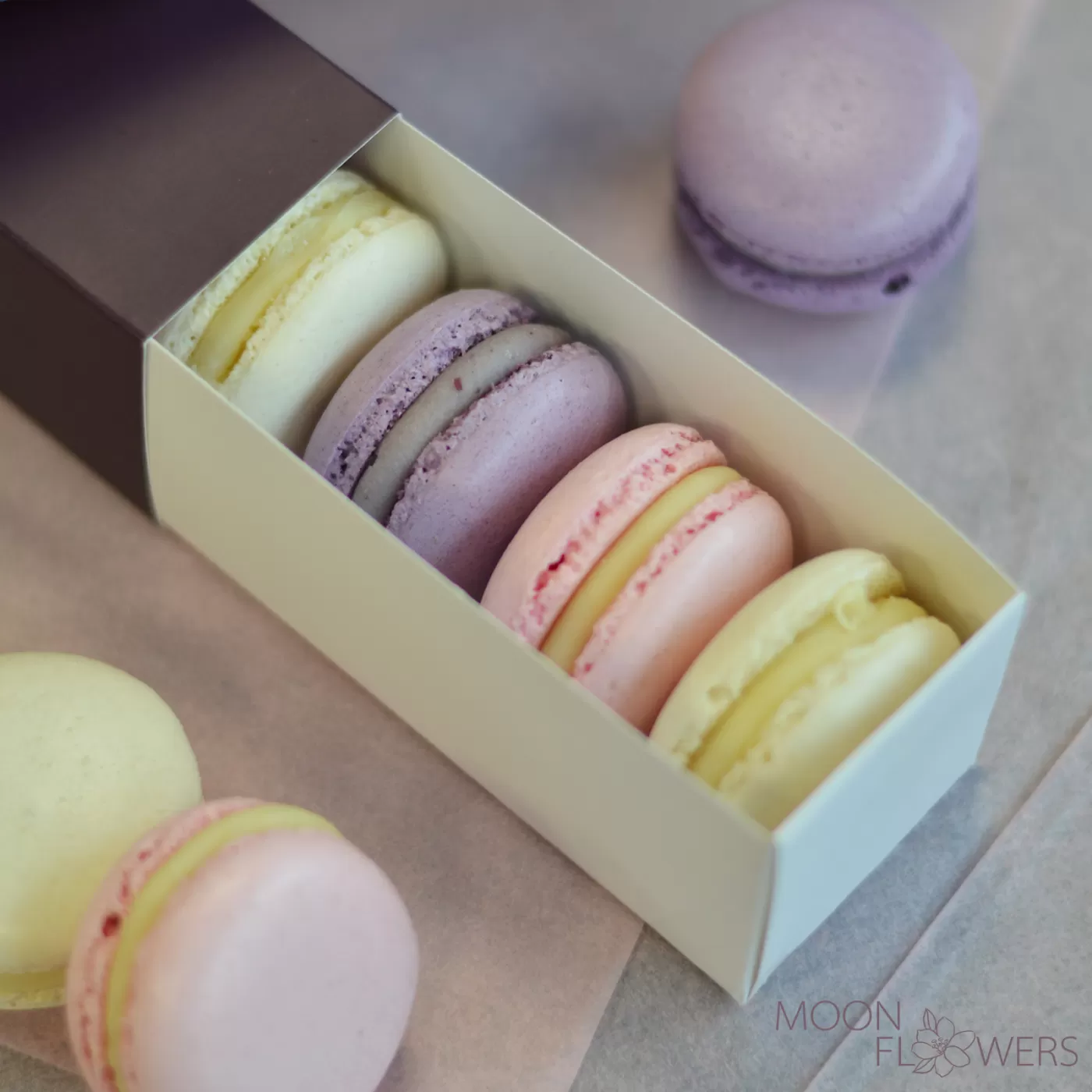 Macarons (S)