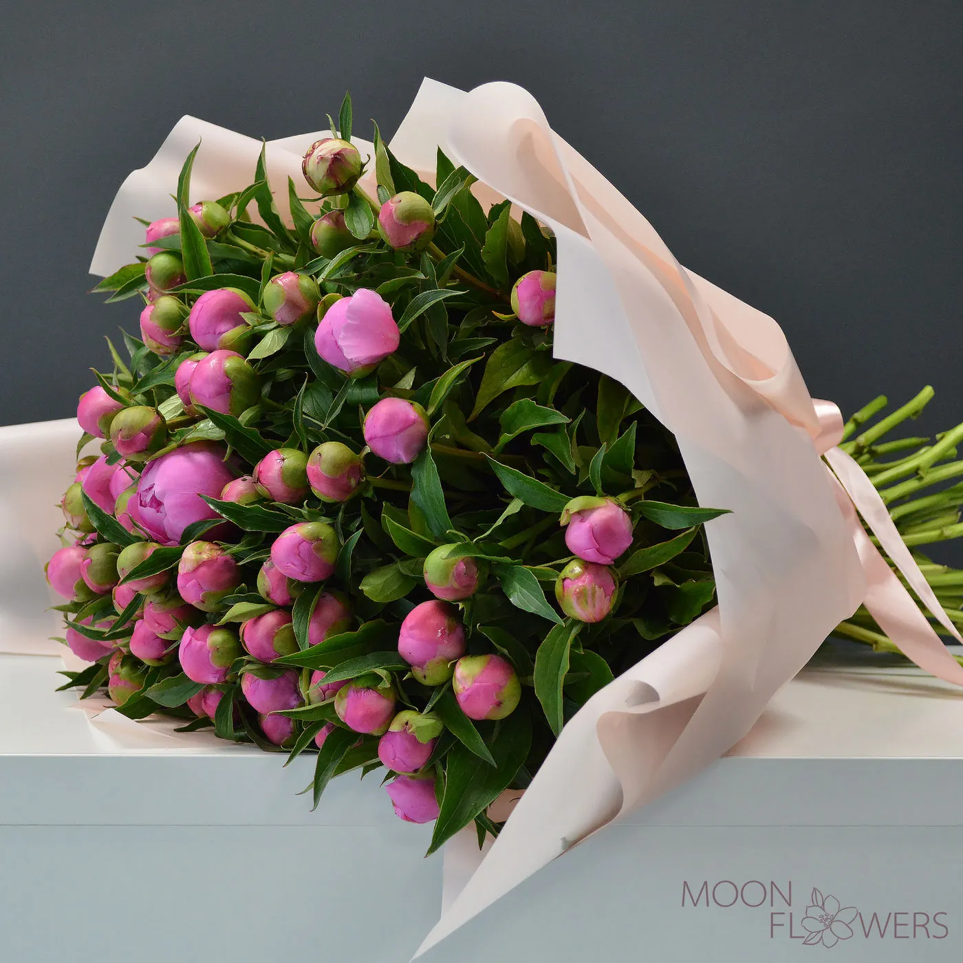 Pink peony