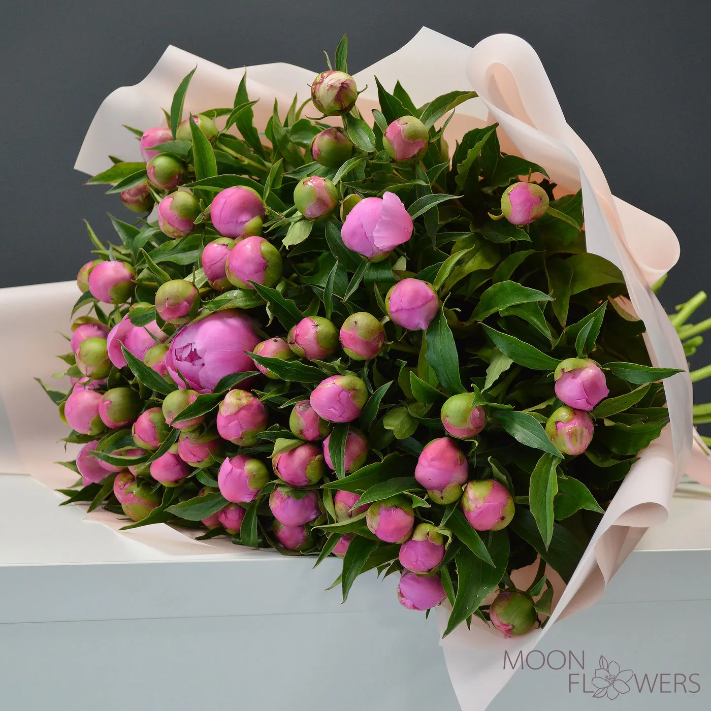 Pink peony