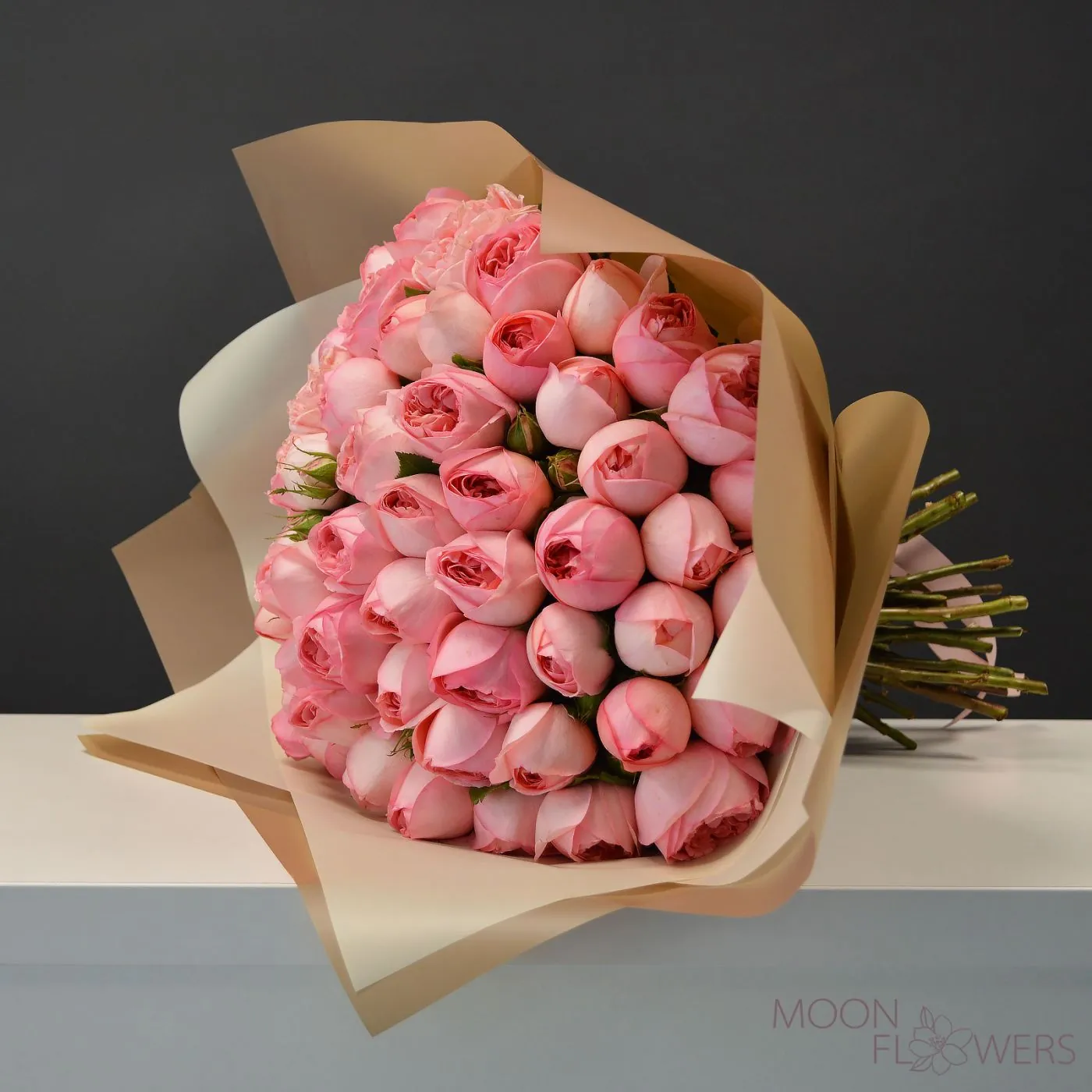 Pink peony rose