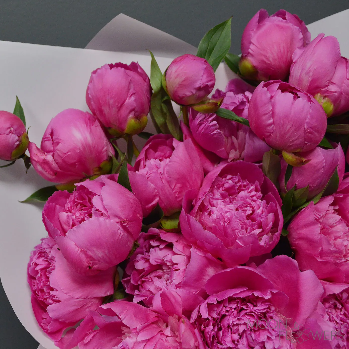 Bouquet of 21 pink peonies