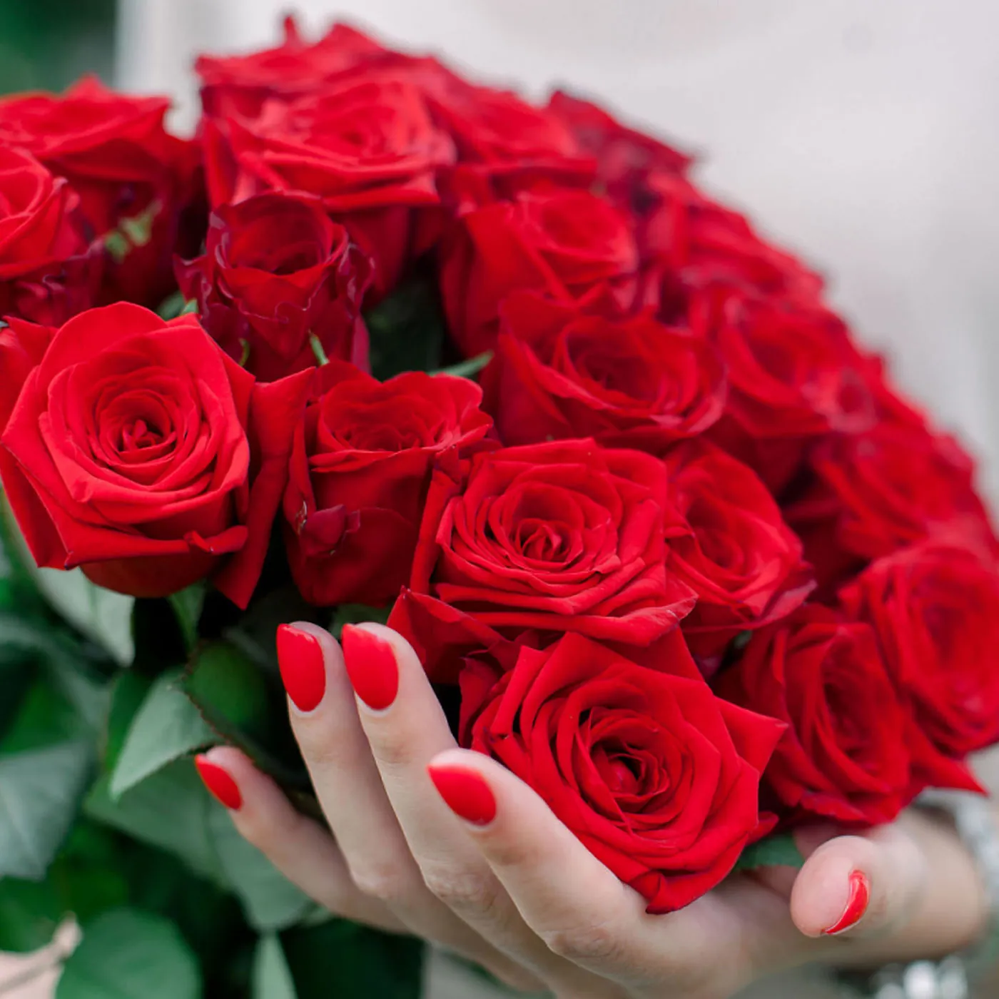 Red rose 50-60 cm