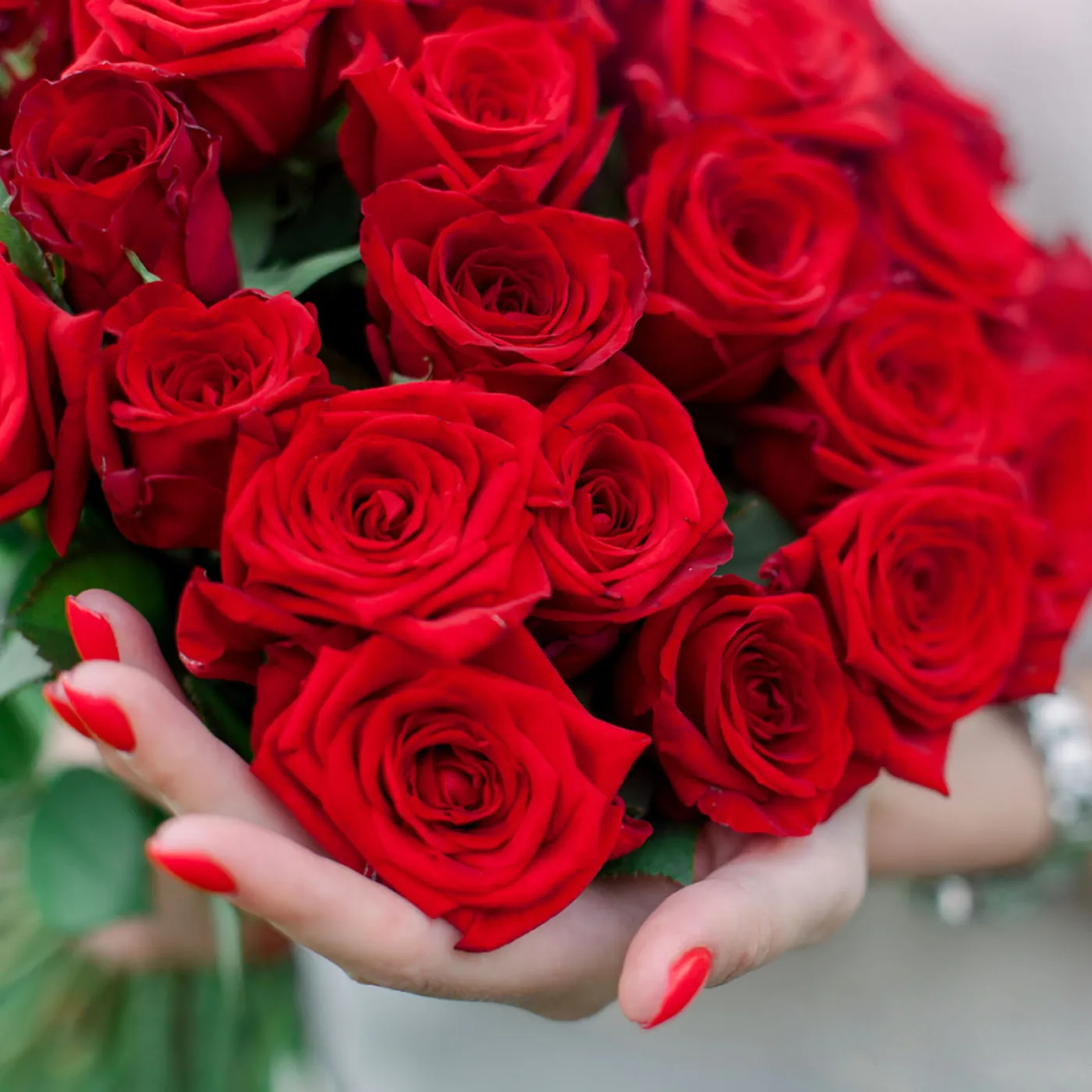 Red rose 50-60 cm