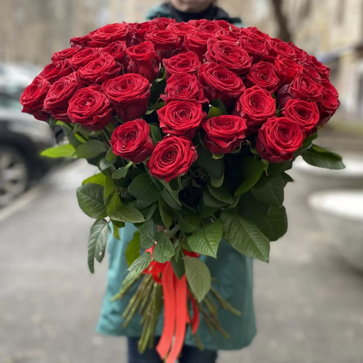 Trandafir roșu de 70-80 cm