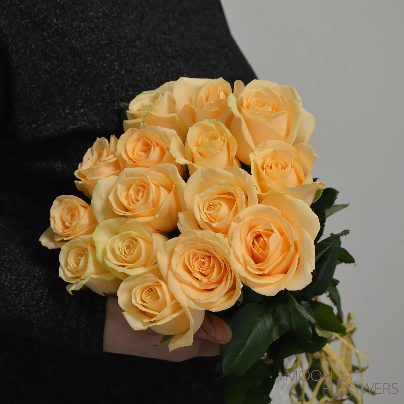 15 trandafiri crem 30-40 cm