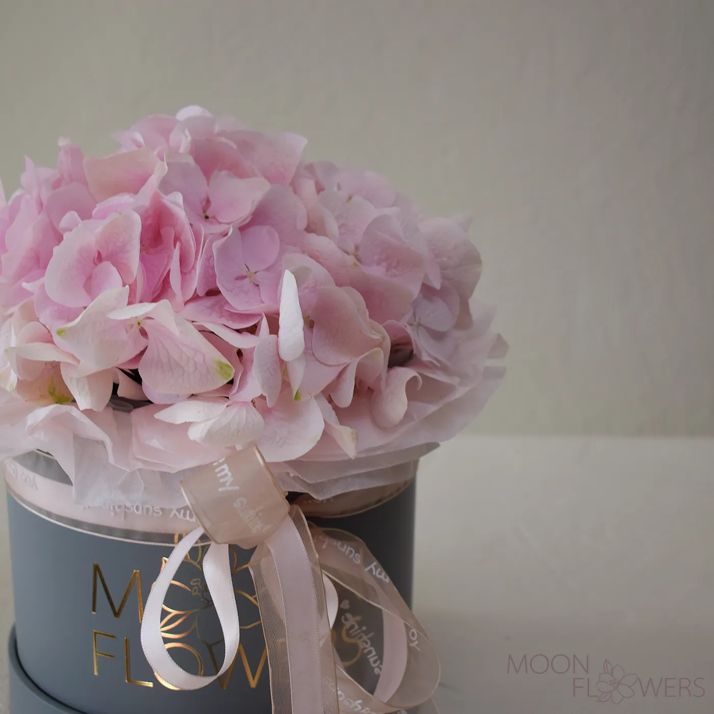 Pink hydrangea in a grey box