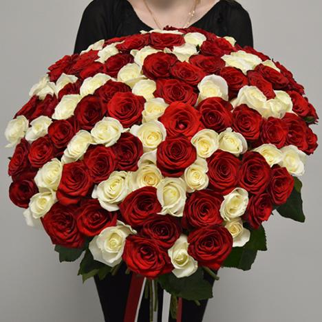 101 roses