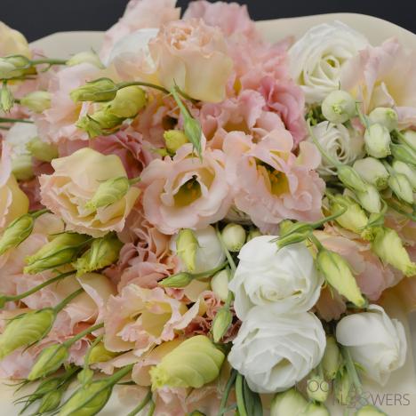 Lisianthus