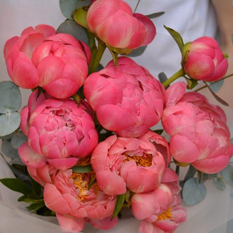 Peony