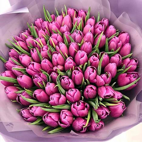 Tulips