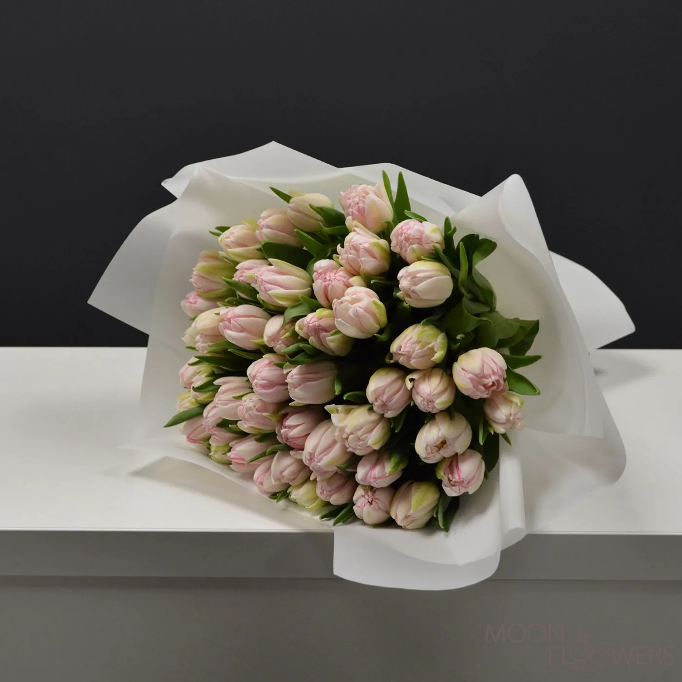 Pale pink double tulip