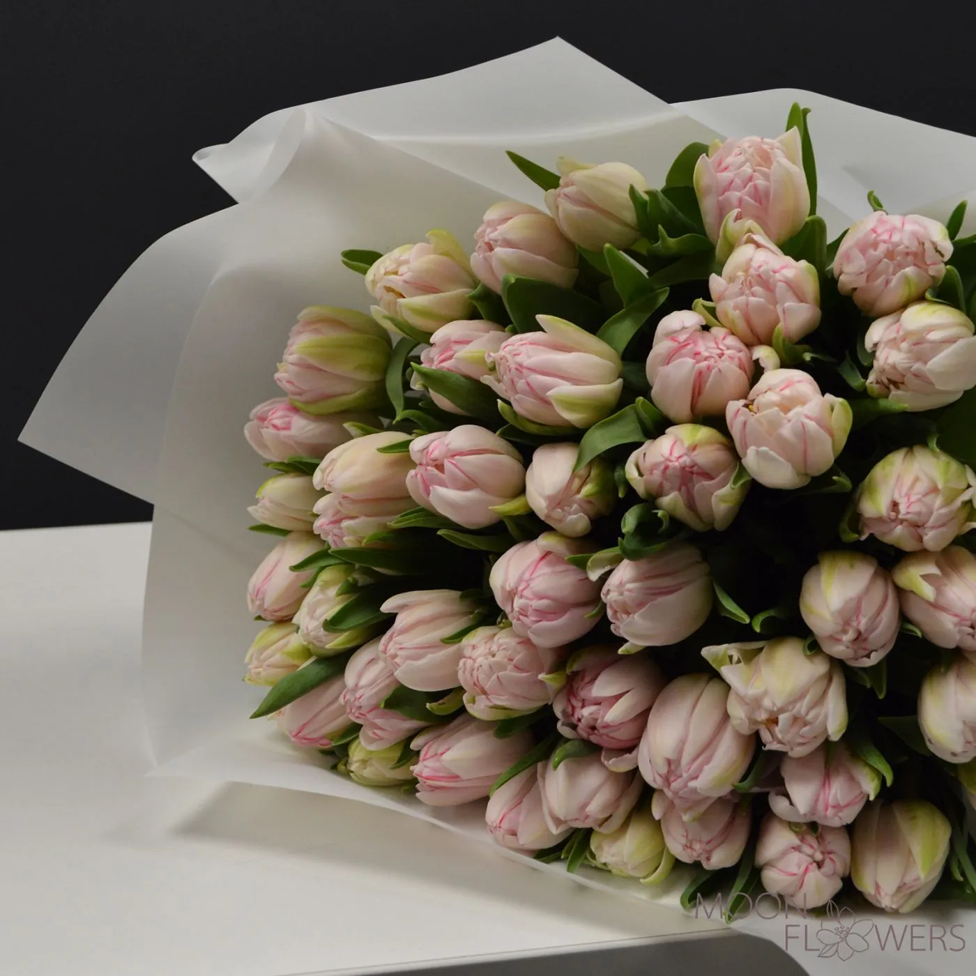 Pale pink double tulip